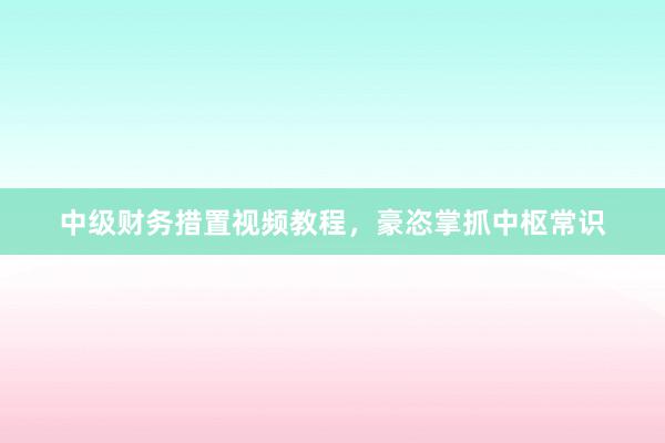中级财务措置视频教程,豪恣掌抓中枢常识