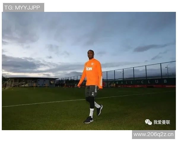 体育偶像的传奇人生与成就:从赛场到人生巅峰的奋力拼搏与坚持